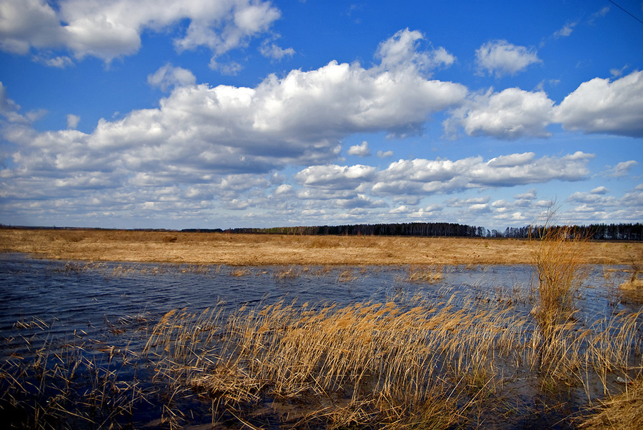 test. Пример тестовой фотографии, сделанной объективом Sigma DC 18-50 mm f/ 2.8 EX  и фотоаппаратом Никон Д60