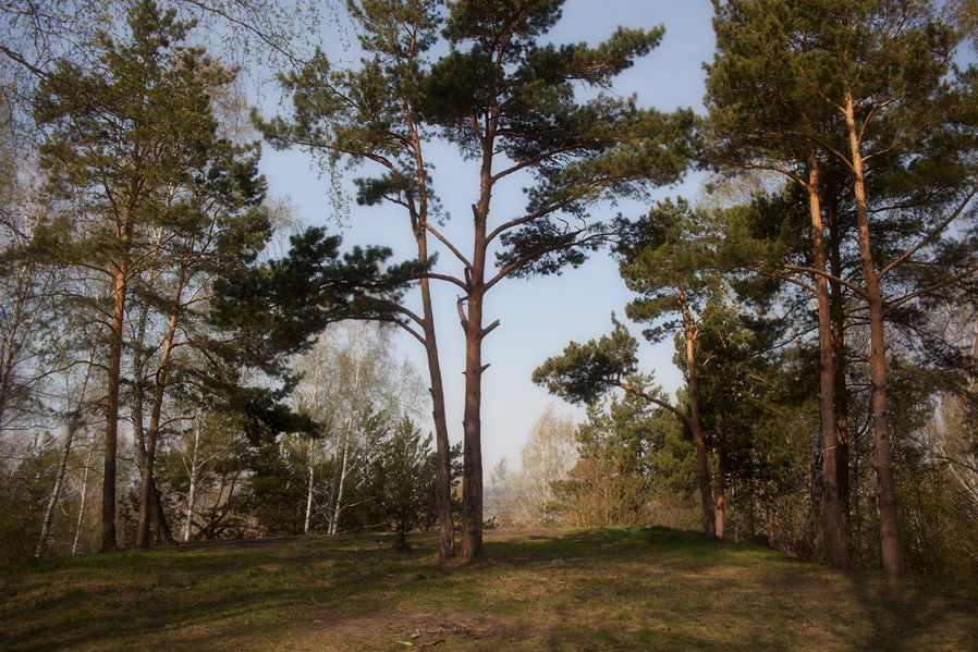 ***. Пример тестовой фотографии, сделанной объективом Zykkor 28 mm f/ 2.8 MC Auto и фотоаппаратом Canon 5D mark2