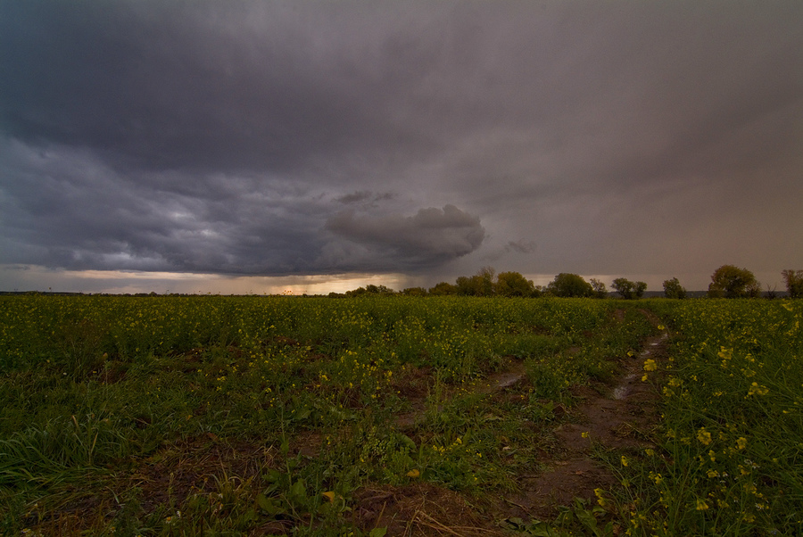 f 8,0. Пример тестовой фотографии, сделанной объективом Tokina AT-X 116 PRO DX AF 11-16 mm  f/ 2.8 и фотоаппаратом Fujifilm S 3 Pro
