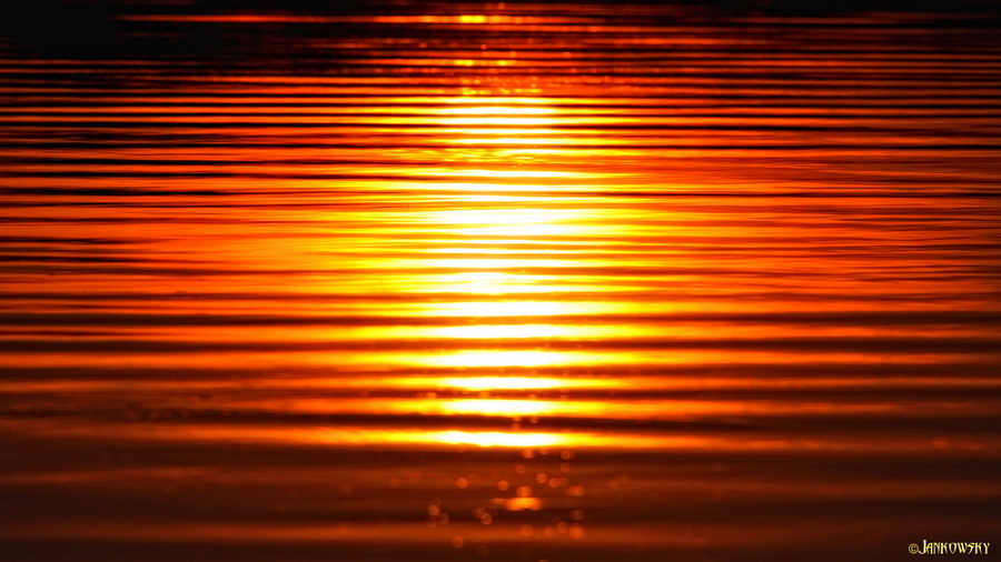 Отражения на водной глади. Пример тестовой фотографии, сделанной объективом Nikon AF Nikkor 80-400 mm f/ 4.5-5.6 D ED VR и фотоаппаратом D800
