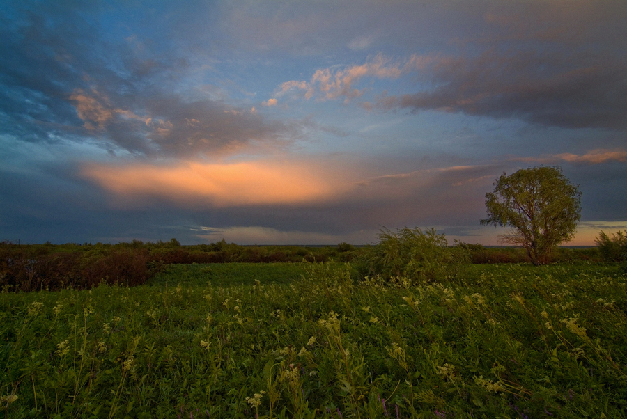 f 8,0. Пример тестовой фотографии, сделанной объективом Tokina AT-X 116 PRO DX AF 11-16 mm  f/ 2.8 и фотоаппаратом Fujifilm S 3 Pro