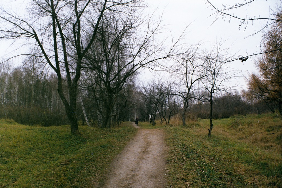 Пейзаж. Пример тестовой фотографии, сделанной объективом Miranda 28 mm f/ 2.8 MC Macro и фотоаппаратом Canon EOS 400D