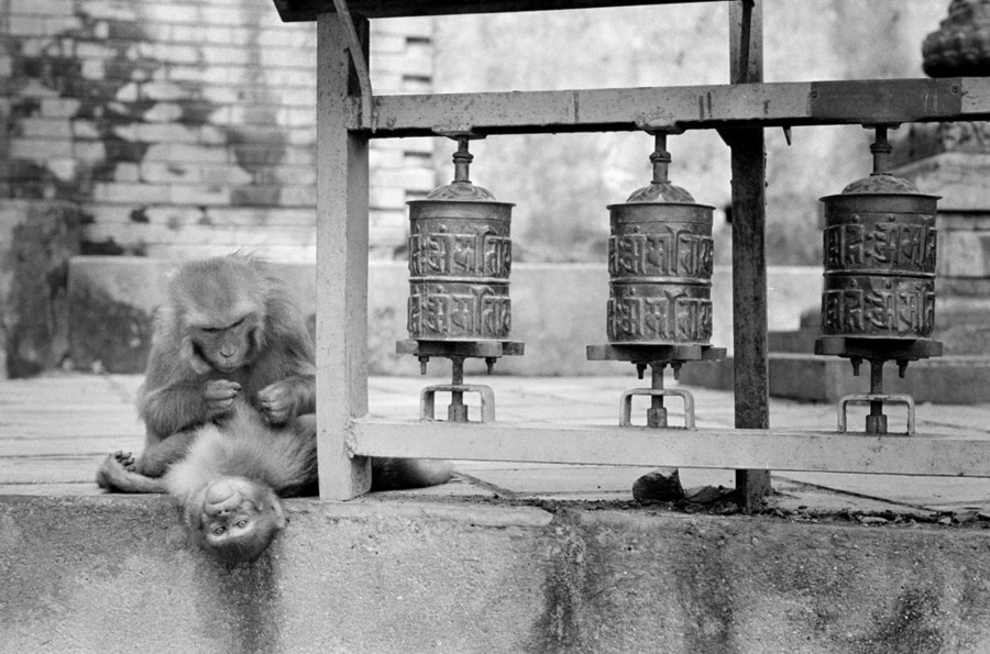жанр. Пример тестовой фотографии, сделанной объективом Sonnetar 50 mm f/ 1.1 MC  и фотоаппаратом Leica M7