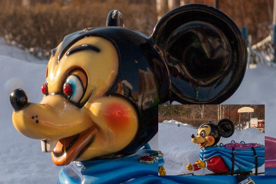 ***. Пример тестовой фотографии, сделанной объективом Sony 50 mm  f/ 2.8 Macro и фотоаппаратом a100