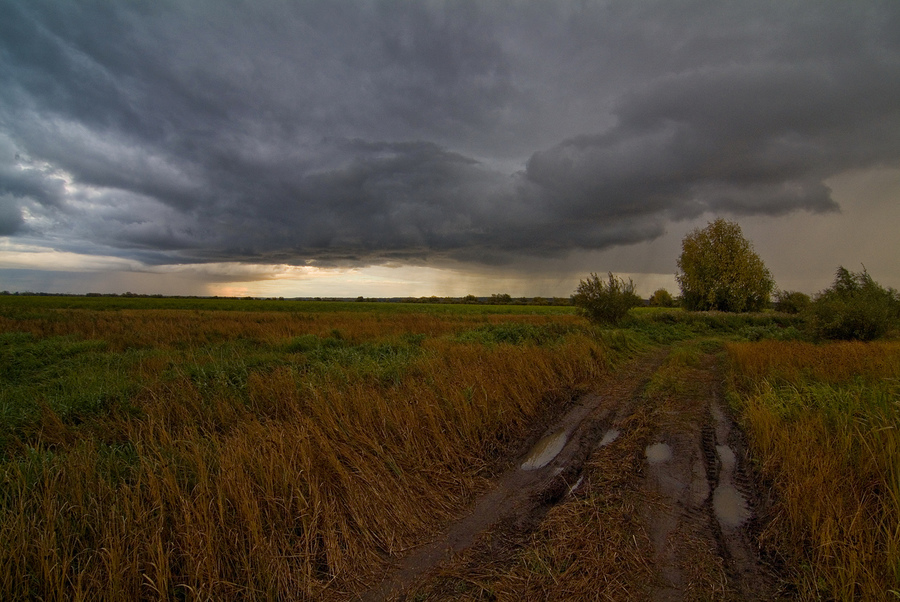 f 8,0. Пример тестовой фотографии, сделанной объективом Tokina AT-X 116 PRO DX AF 11-16 mm  f/ 2.8 и фотоаппаратом Fujifilm S 3 Pro