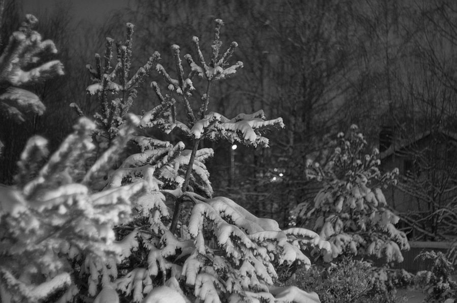 ****. Пример тестовой фотографии, сделанной объективом  Canon FL 58 mm f/ 1.2 и фотоаппаратом Sony-NEX 6