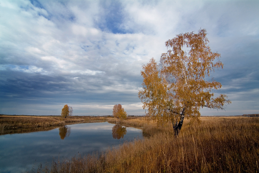 f 8,0. Пример тестовой фотографии, сделанной объективом Tokina AT-X 116 PRO DX AF 11-16 mm  f/ 2.8 и фотоаппаратом Fujifilm S 3 Pro