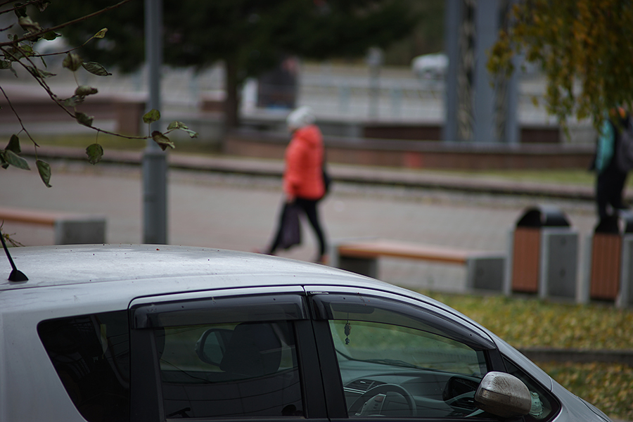 На полностью открытой. Пример тестовой фотографии, сделанной объективом Nikon Nikkor 180 mm f/ 2.8 Ai и фотоаппаратом Sony A7 Mark II