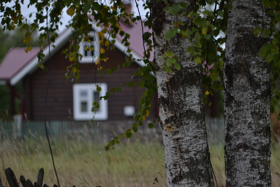Красота России. Пример тестовой фотографии, сделанной объективом Nikon Nikkor-P 105 mm f/ 2.5 non-Ai (2) и фотоаппаратом Никон Д3100